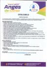 Logo ANGES DE CHRSIT
